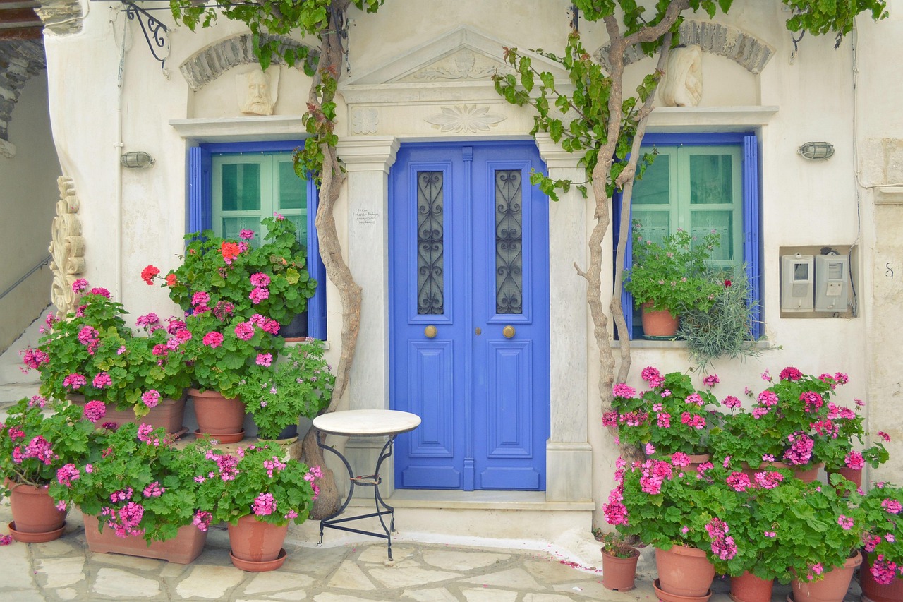 ΞΕΝΟΔΟΧΕΙΑ ΤΗΝΟΣ ΚΑΛΟΚΑΙΡΙ (P)